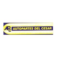 AUTOPARTES DEL CESAR